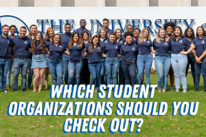 Take our student organization quiz